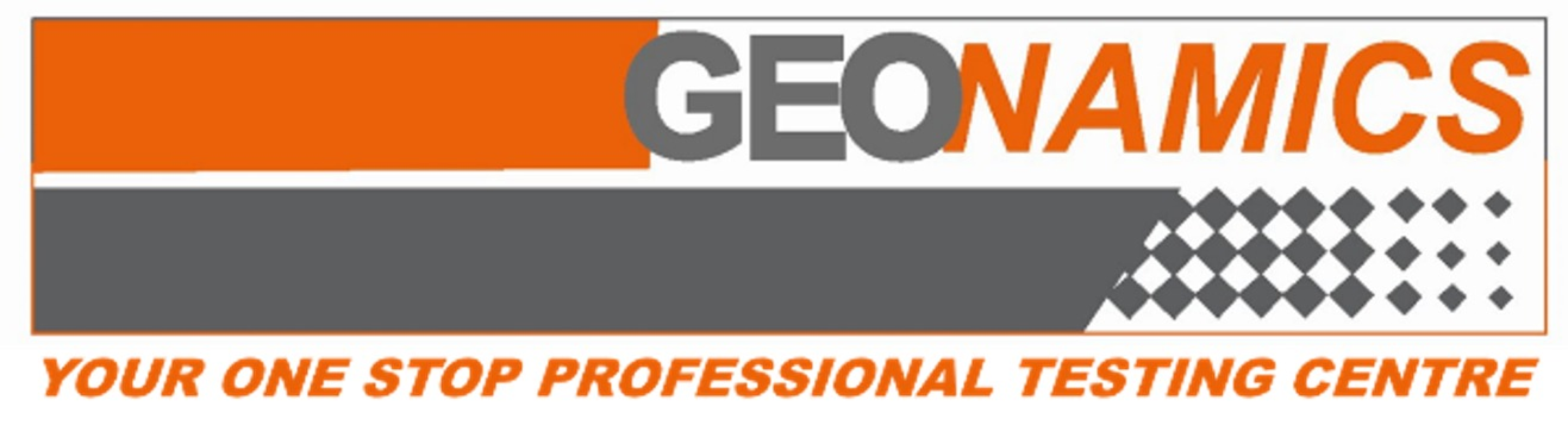 GEONAMICS